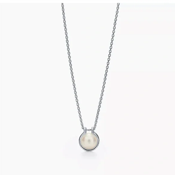 Elegant Silver Necklace